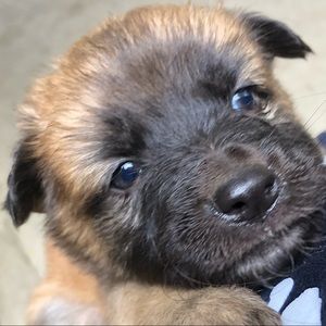 Meet your Posher, Nikki